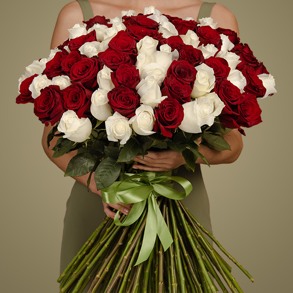 101 красная и белая роза Премиум Эквадор